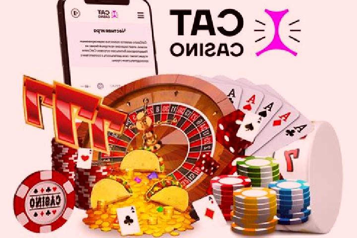Cat Casino